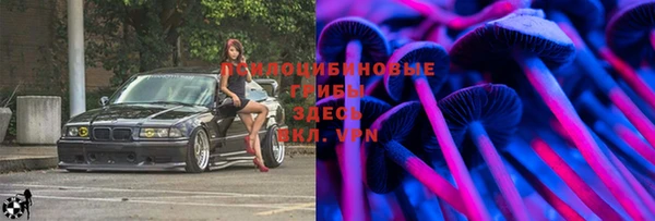 крисы Вяземский