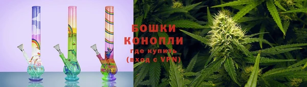 крисы Вяземский