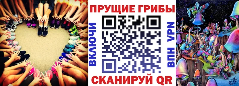Галлюциногенные грибы прущие грибы  Юрга 